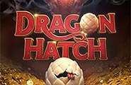 Dragon Hatch